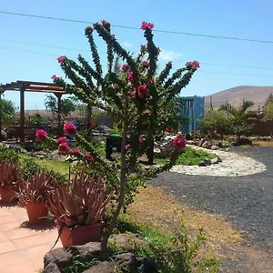 Soleario , La Oliva Spain